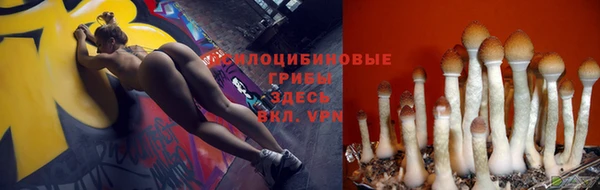 ALPHA PVP Алзамай