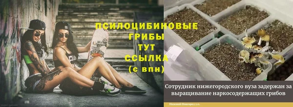 МДПВ Алексин