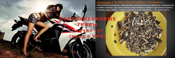 МДПВ Алексин