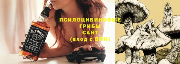 МДПВ Алексин