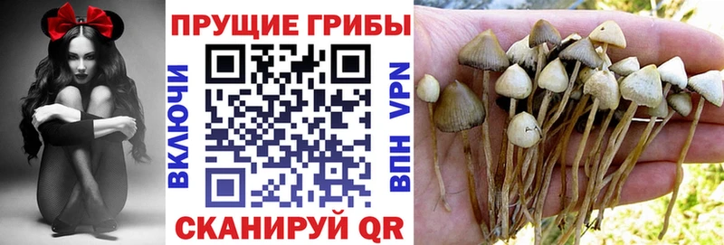 Псилоцибиновые грибы прущие грибы  Рыбное 