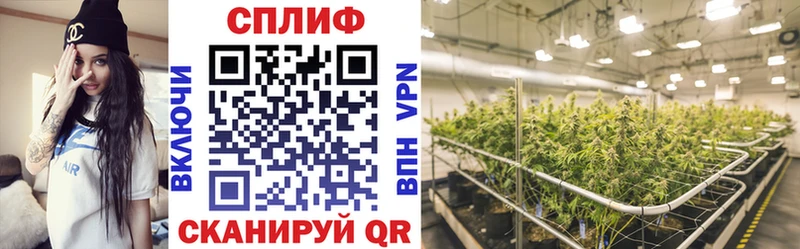 Бошки Шишки сатива  кракен ссылки  Рыбное 